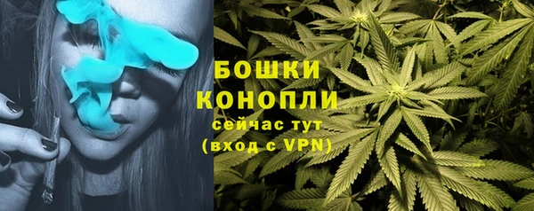 гидропоника Володарск