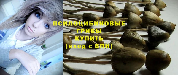 дмт Волоколамск