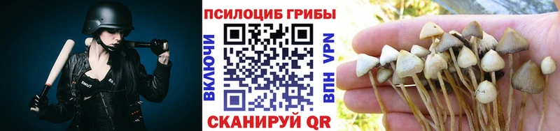 купить наркотики цена  shop официальный сайт  Галлюциногенные грибы прущие грибы  Изобильный 